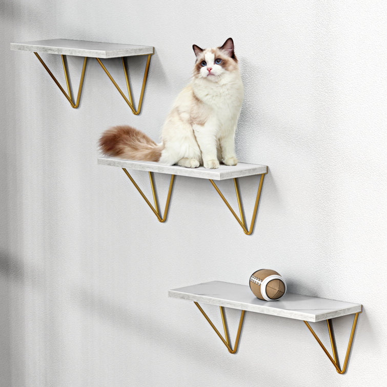 Wayfair cat shelves sale